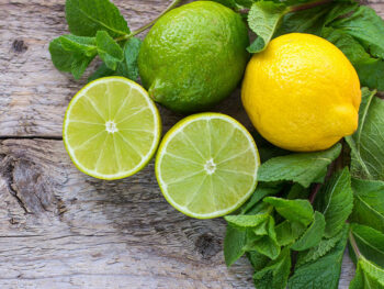 Types Of Lemons