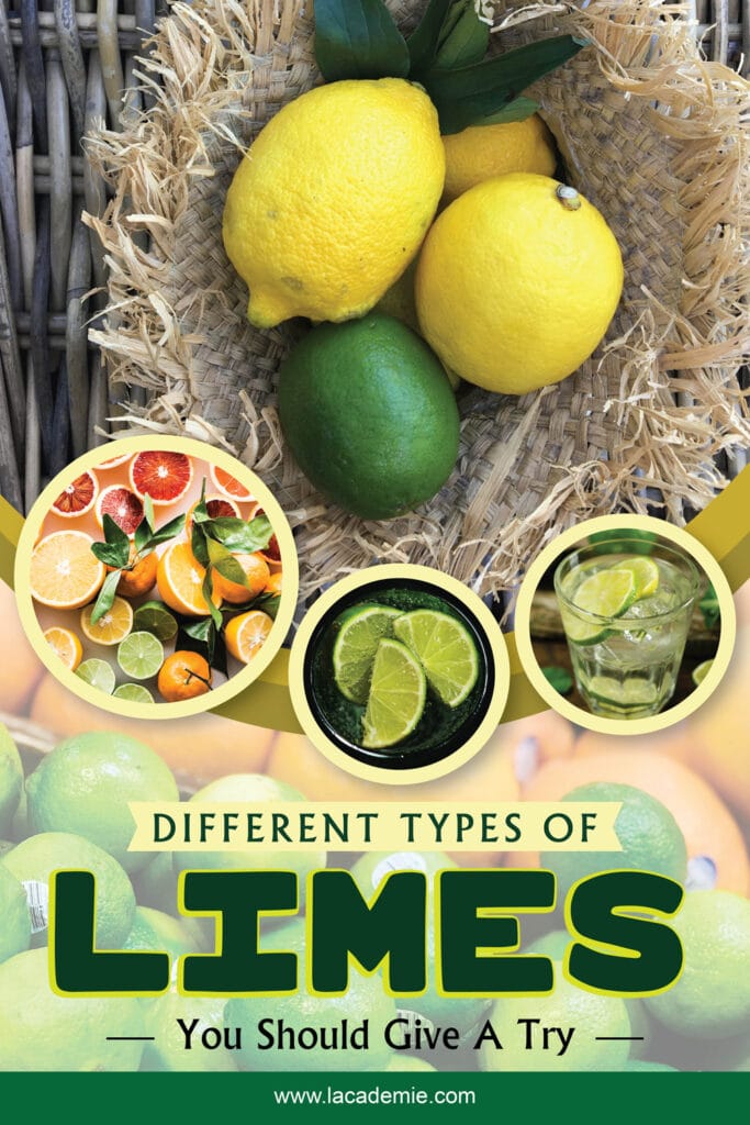 Types Of Limes