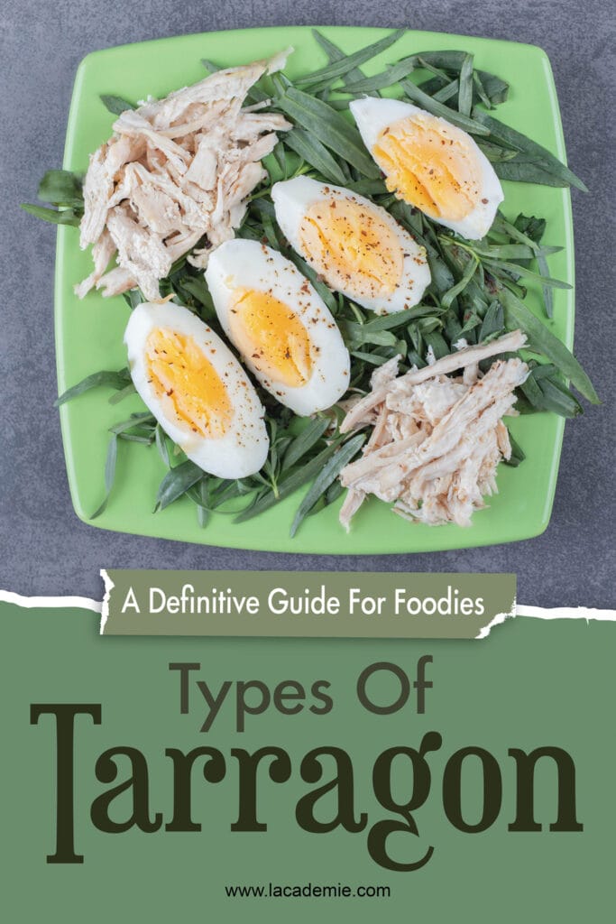 Types Of Tarragon