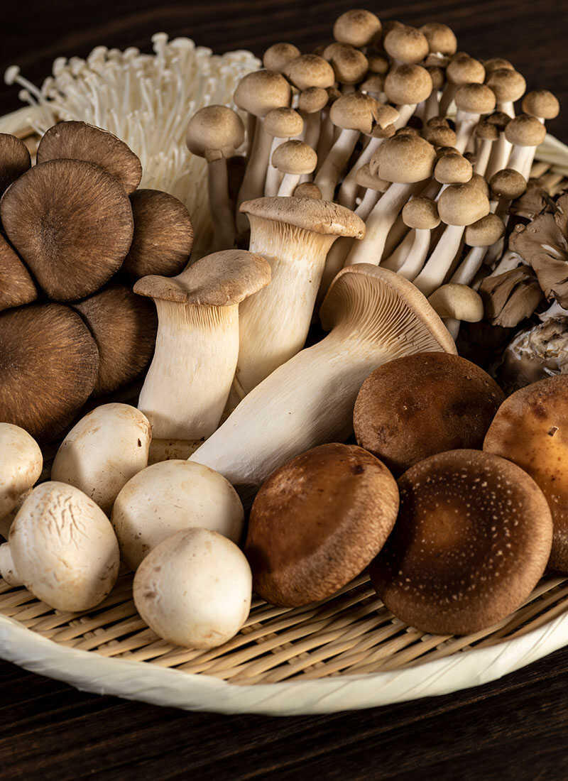 Various Kinds Mushrooms