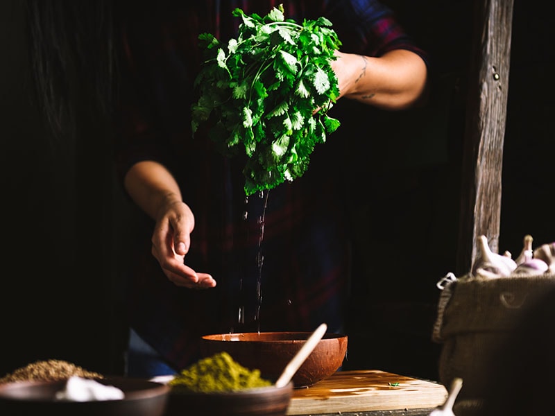 Washing Green Parsley Cilantro Water