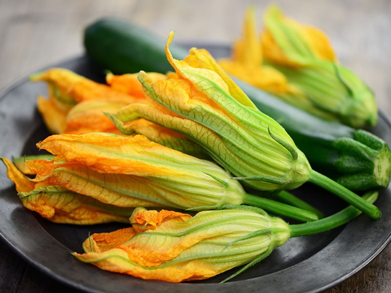 Zucchini Flowers