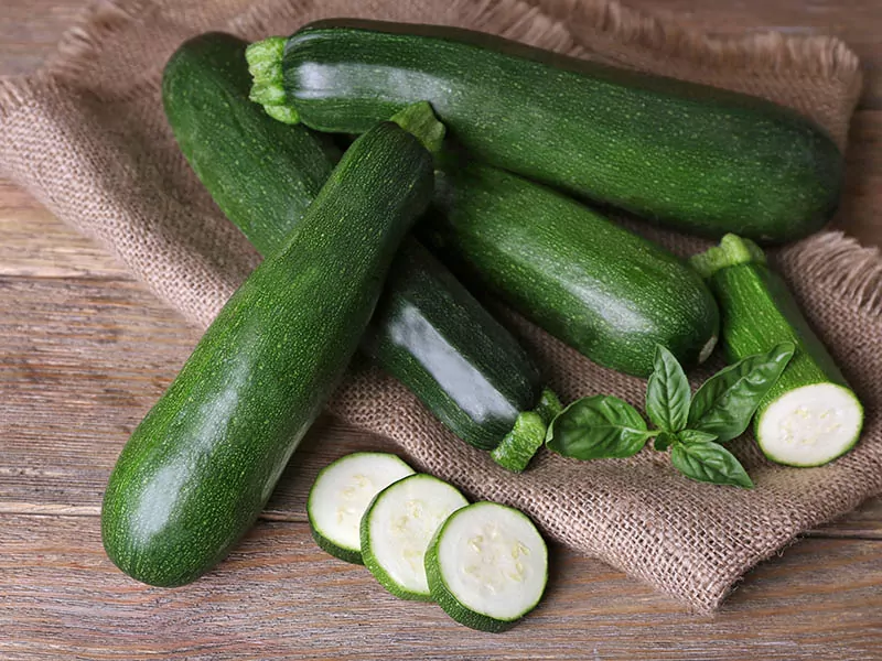 Zucchini Is Tasty And Refreshing