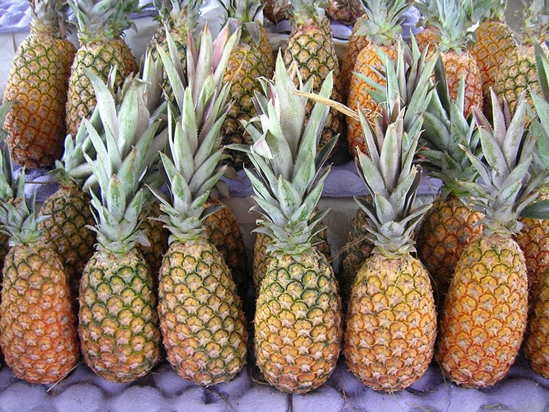 Abacaxi Pineapple