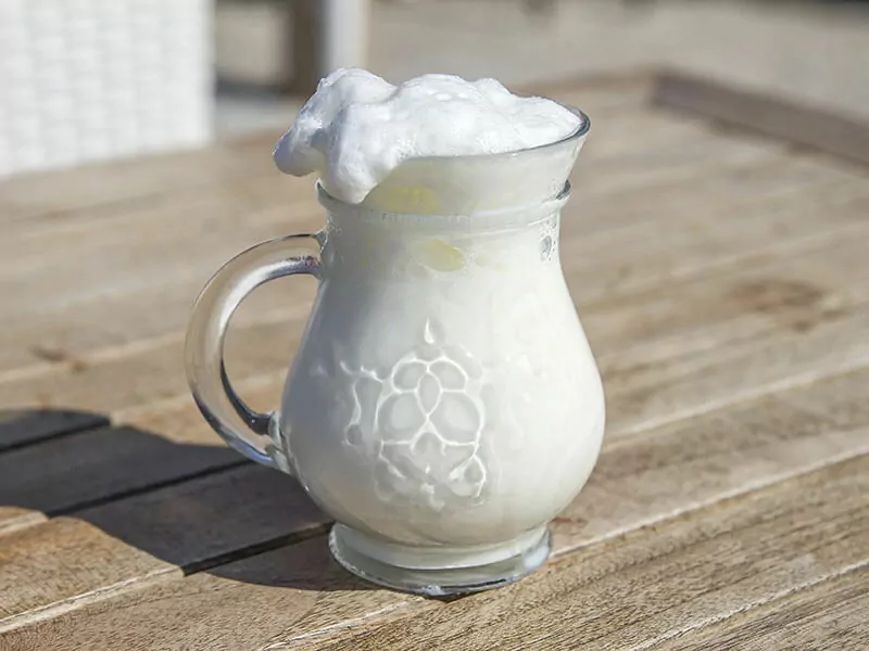 Ayran Salty Yogurt