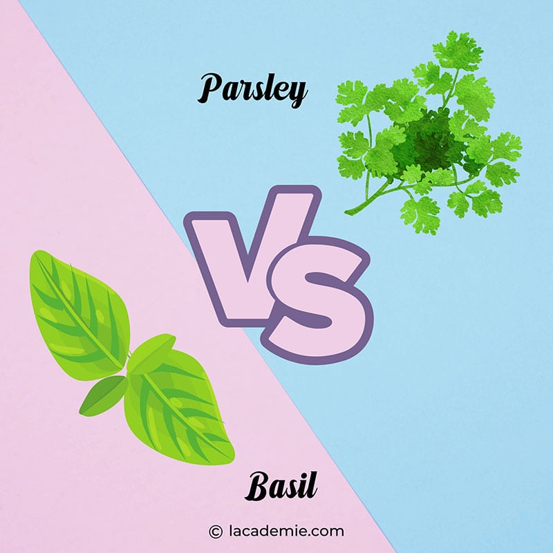 Basil And Parsley