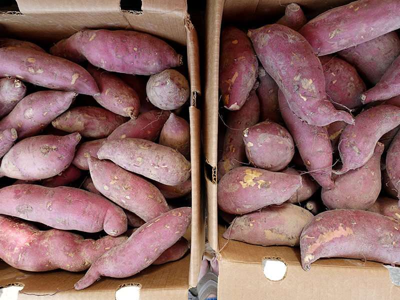 Beauregard Sweet Potatoes