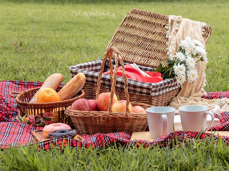 Top 10 Picnic Basket Essentials for the Perfect Outdoor Feast