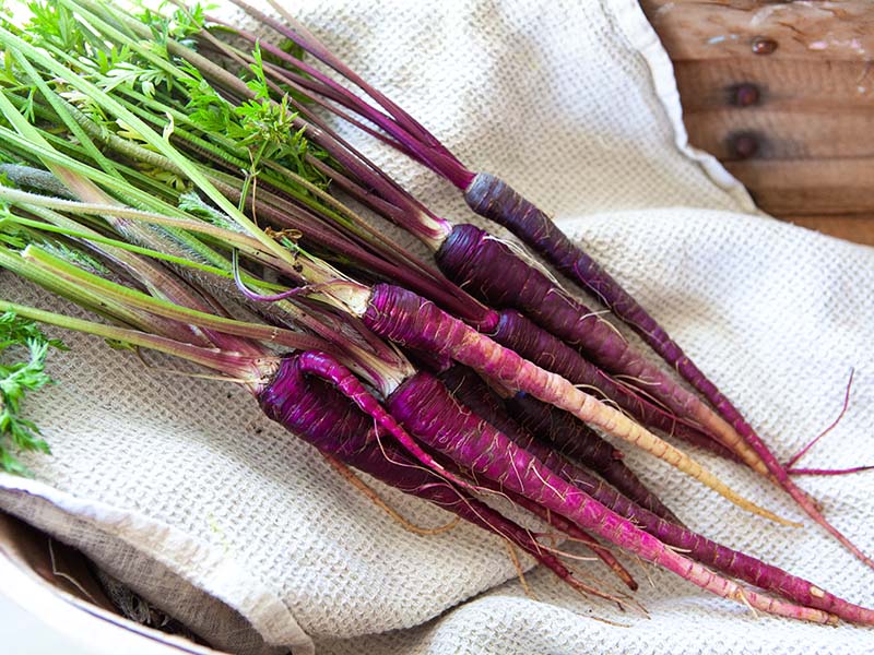 Black Nebula Carrots