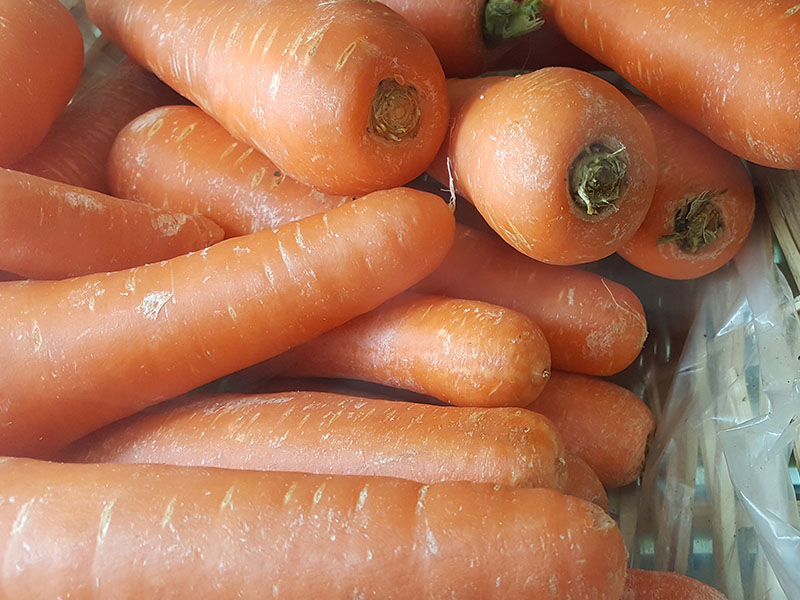 Bolero Carrots