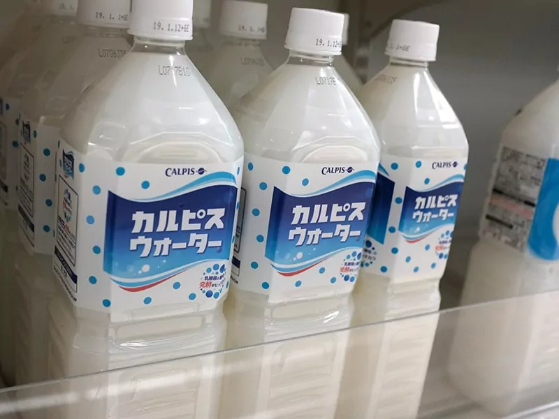 Calpis Japanese