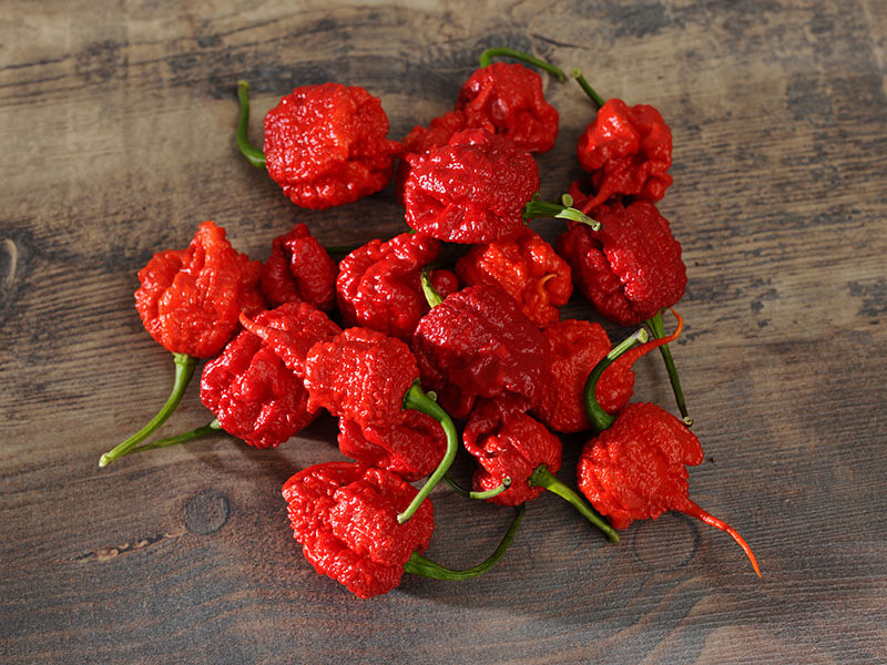 Carolina Reaper