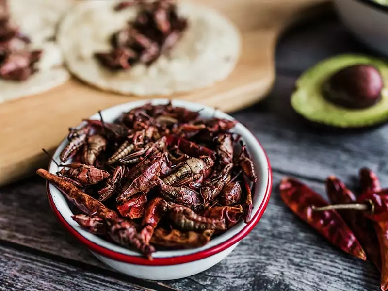 Chapulines Mexican