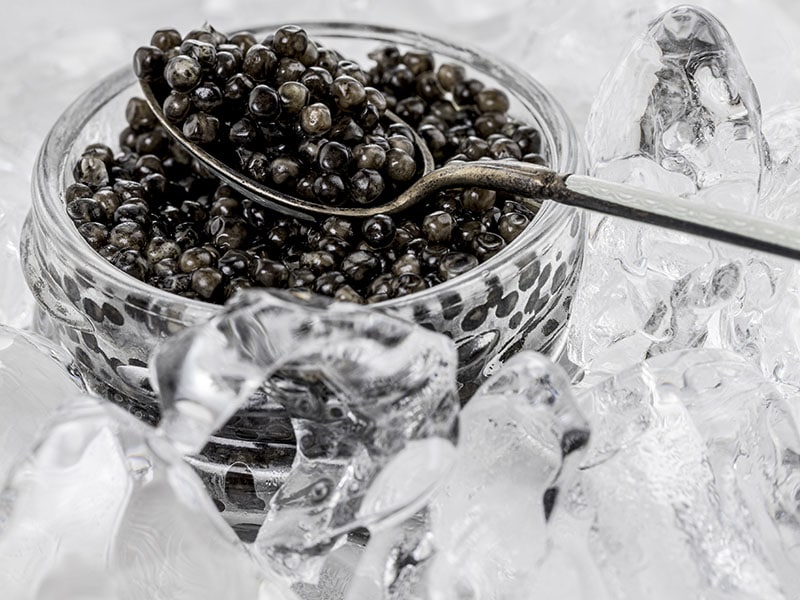 Chilling Caviar On Ice