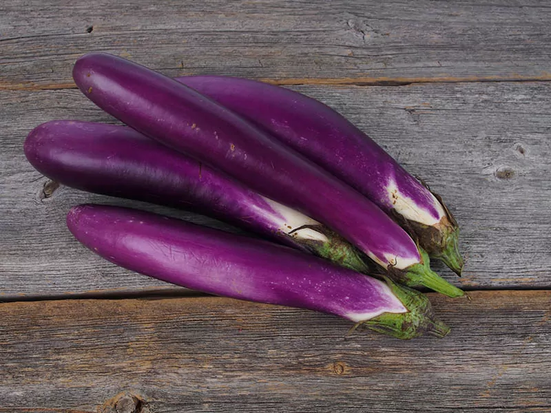 Chinese Eggplant