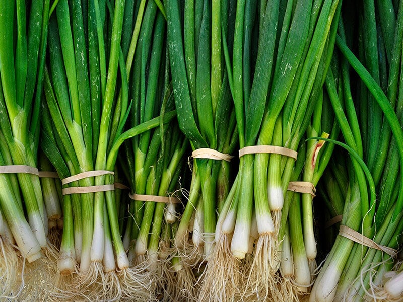 Classic Green Onions