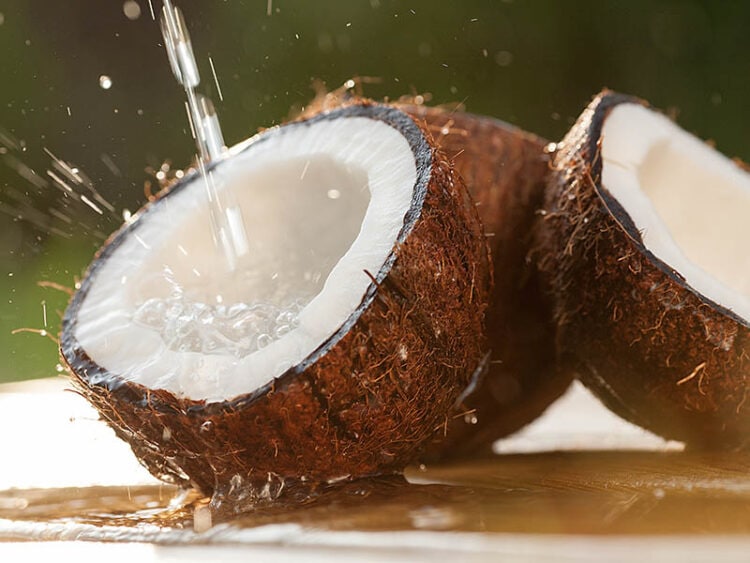 Coconut Milk vs. Coconut Water Understanding the Differences and Uses