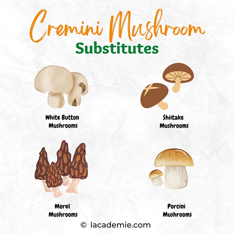 Cremini Mushroom Substitute