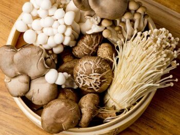 Cremini Mushroom Substitutes