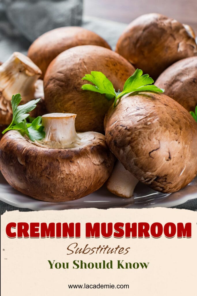 Cremini Mushroom Substitutes
