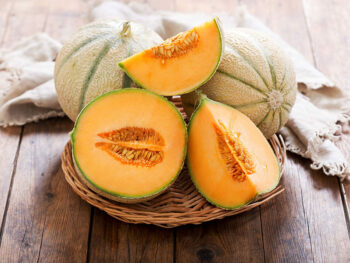 Different Types Of Cantaloupes