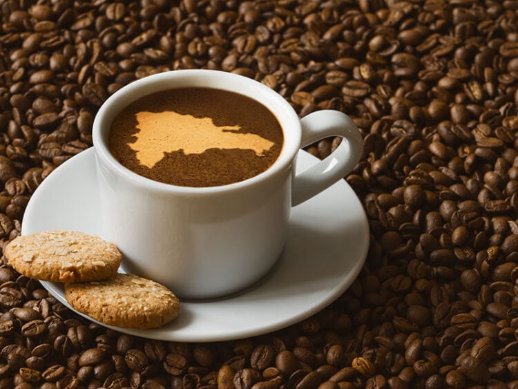 16 Dominican Republic Drinks To Quench Your Thirst 2023