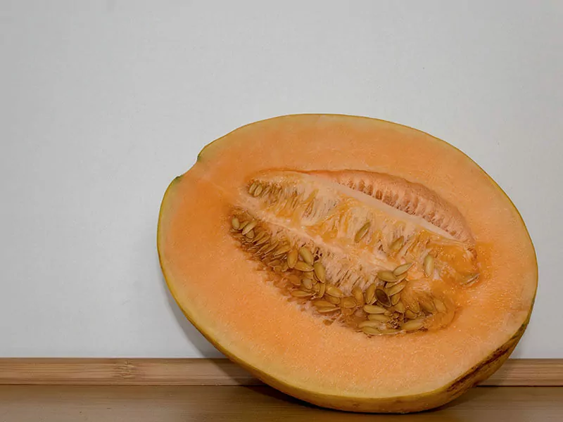 European Cantaloupe