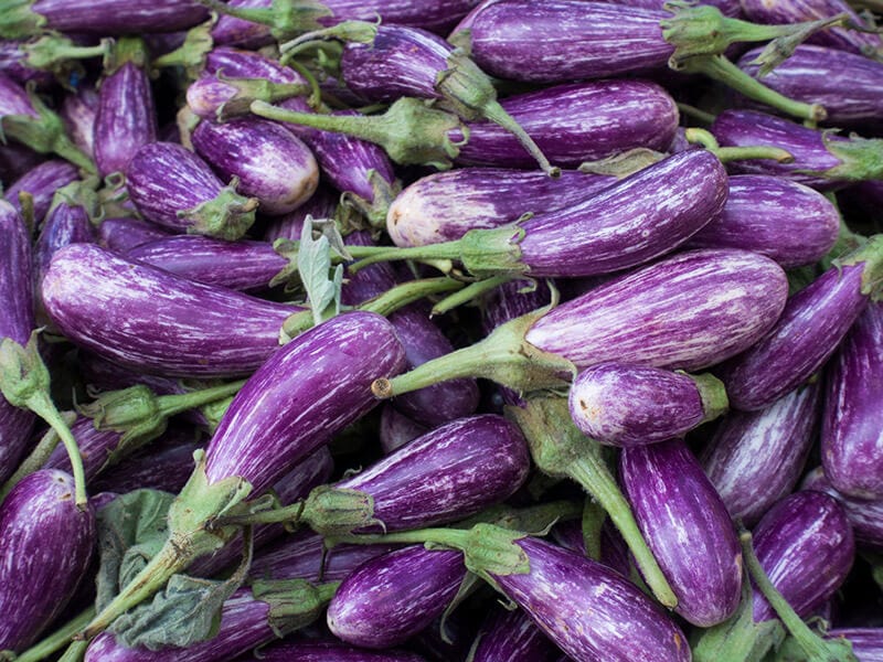 Fairy Tale Eggplant