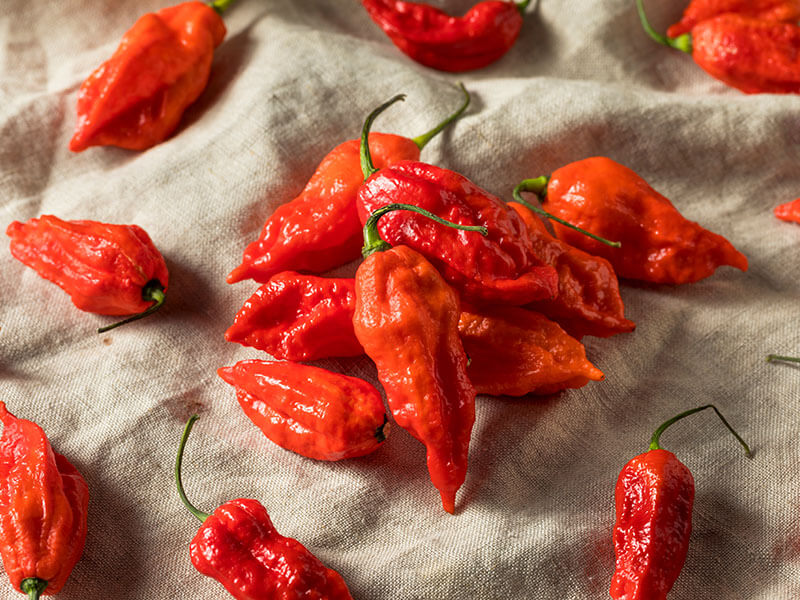 Ghost Pepper