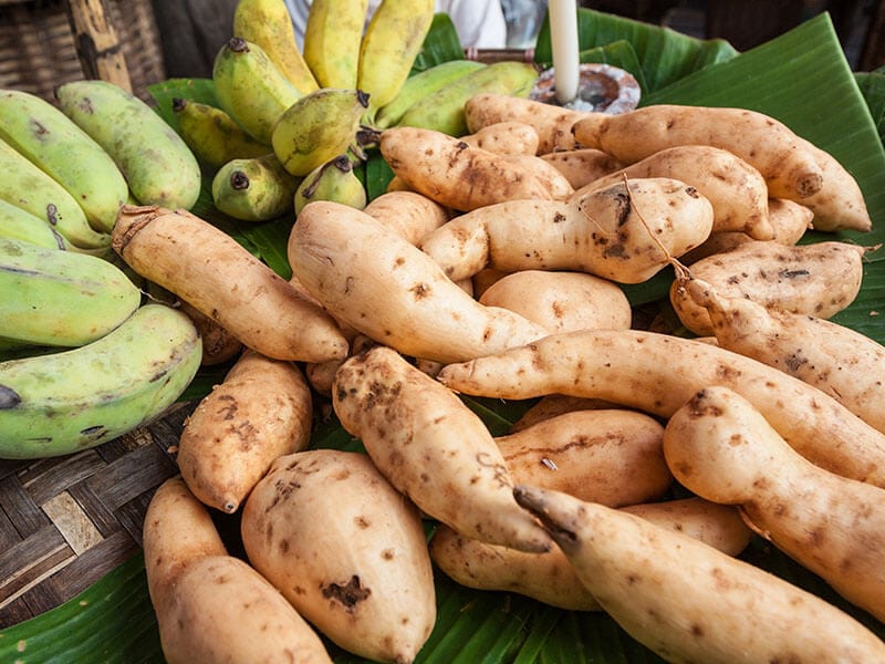 Ginseng Red Sweet Potatoes