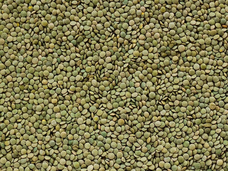 Green Lentils