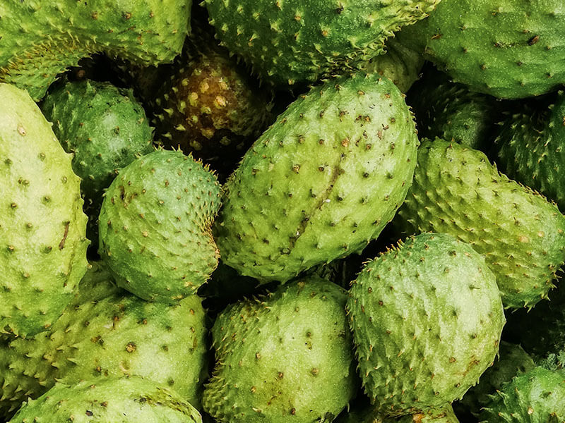 Guanábana Fruits