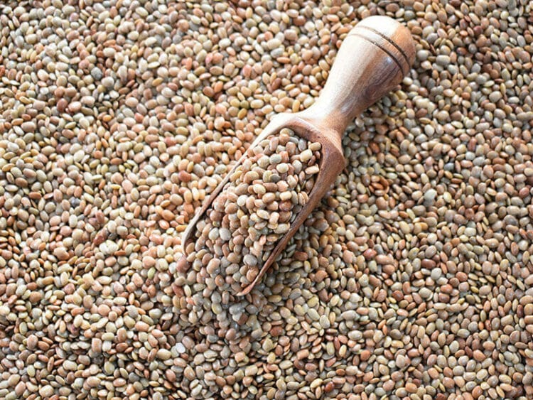 8 Lentil Types to Discover for a True Taste in 2024