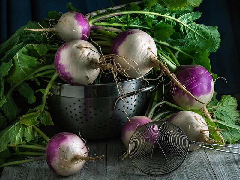 Storing Turnips: Preserving Freshness and Flavor