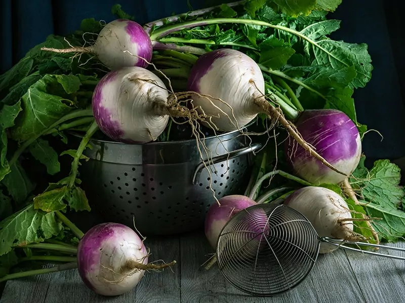 How To Store Turnips