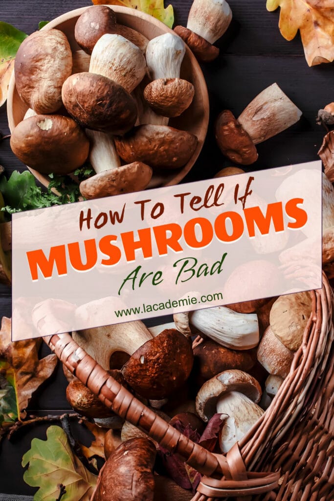 How To Tell If Mushrooms Are Bad