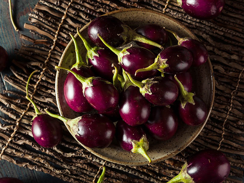 Indian Eggplants