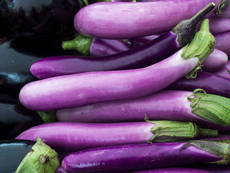 Italian Eggplants