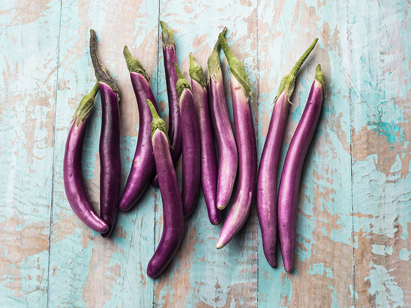 Japanese Eggplant