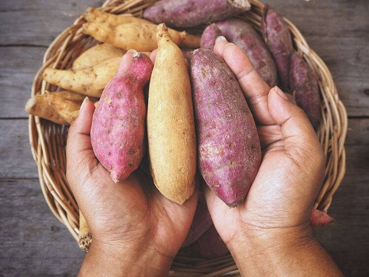 35 Sweet Potato Varieties to Enjoy in 2024