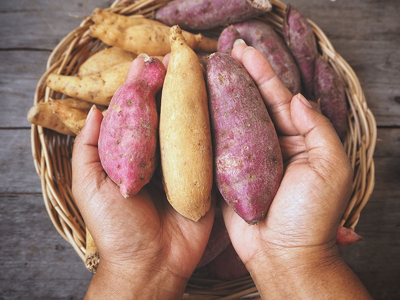 Kotobuki Sweet Potatoes