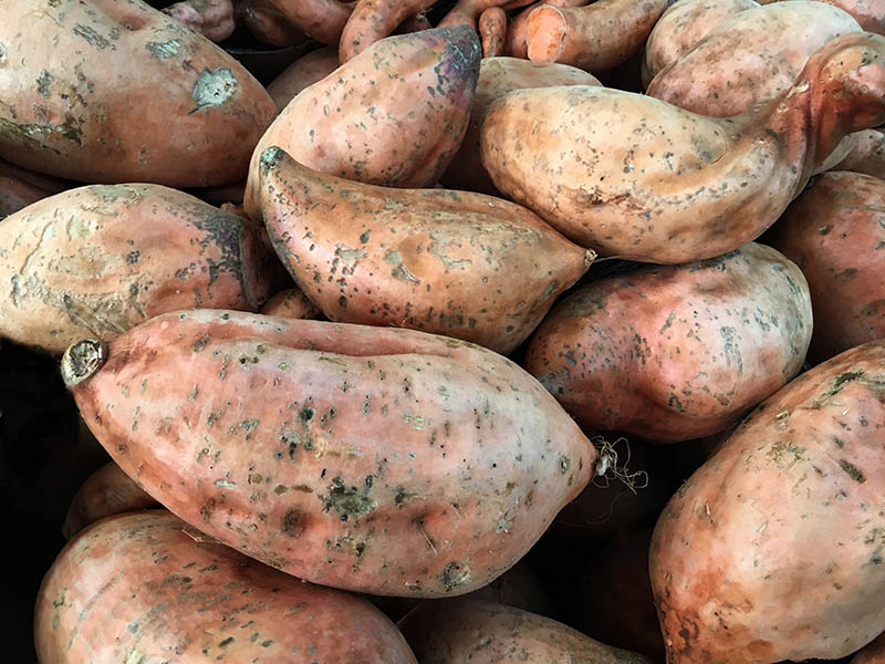 Kumara Sweet Potatoes