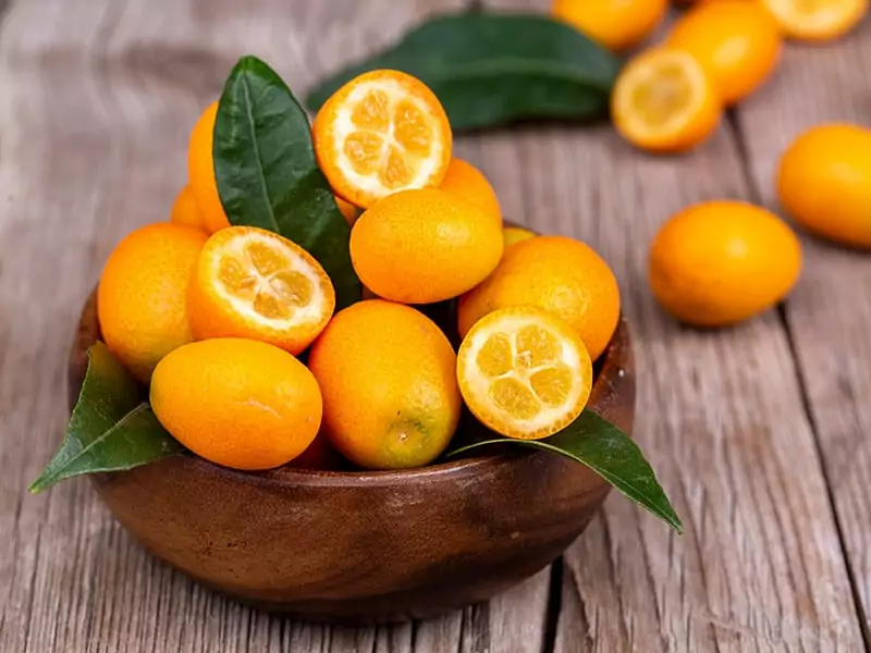 Kumquat Geum Gyul