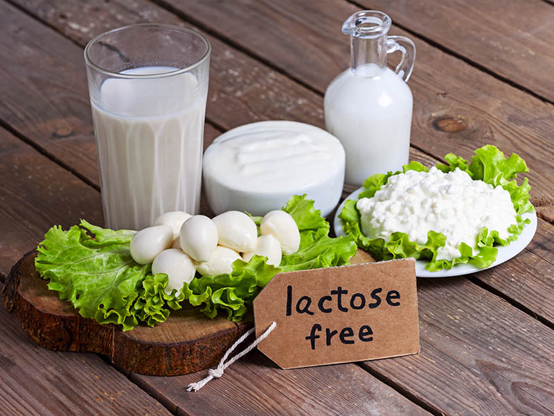 Lactose Free Yogurt