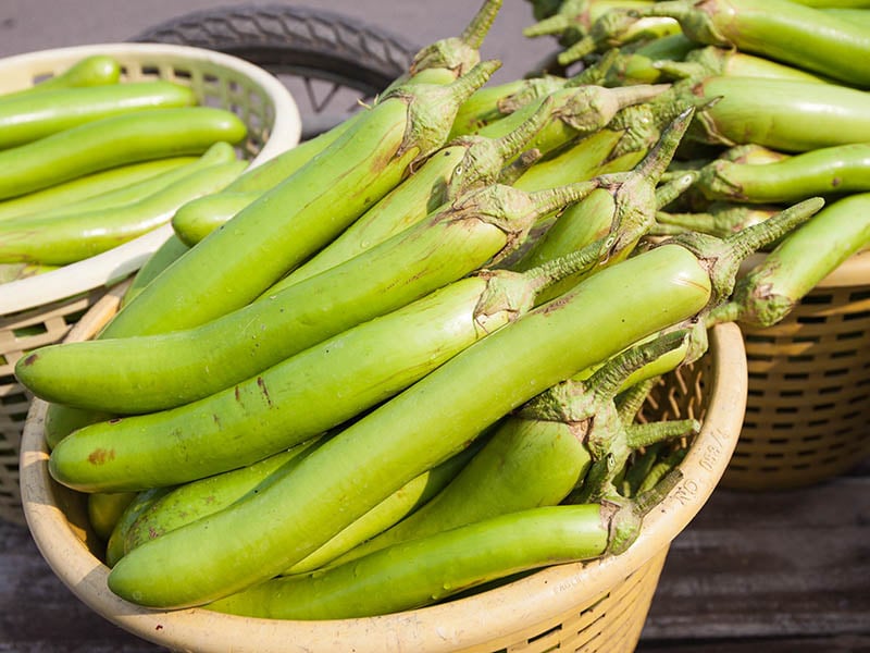 Little Green Eggplants