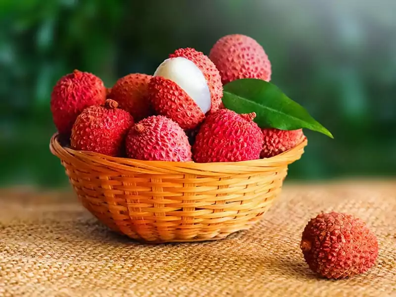 Lychee Fruit