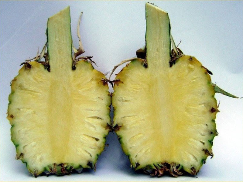 Maipure Pineapple