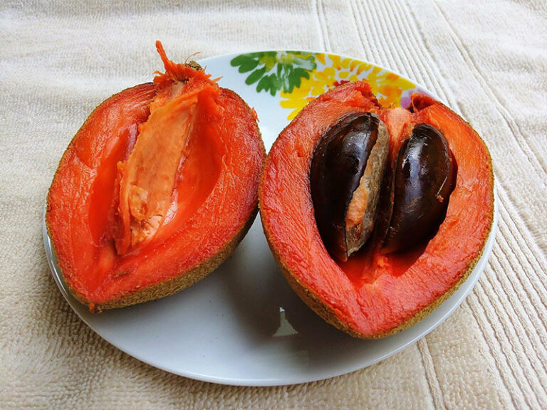 Top 20+ Special Mexican Fruits To Discover 2023