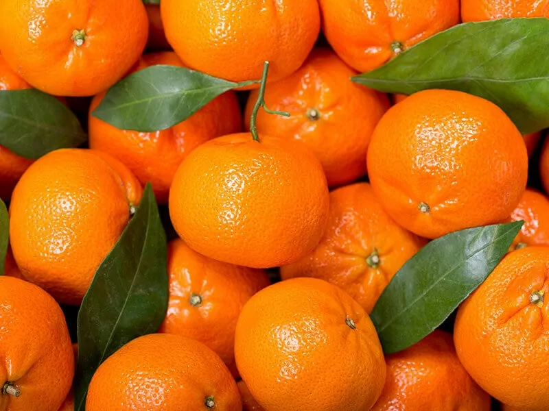 Mandarin Oranges