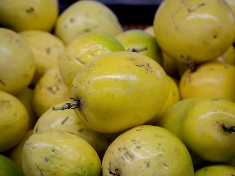 Maracuyá Fruits